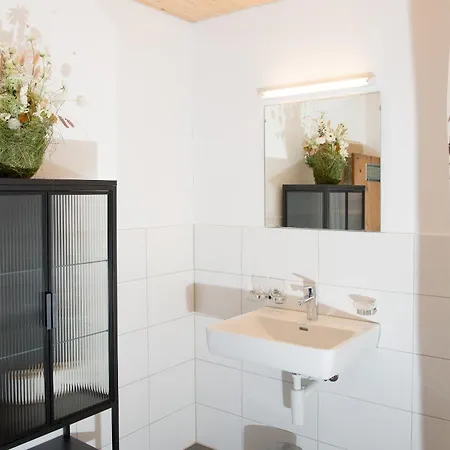 Tech-free Haven - Acla Sissi - Lenzerheide 木屋 *